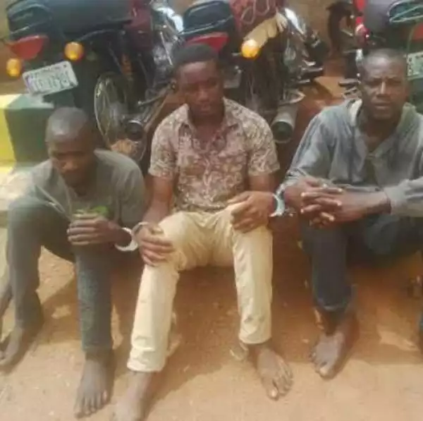3 Friends Who Met In Prison Arrested For Robbery In Osun